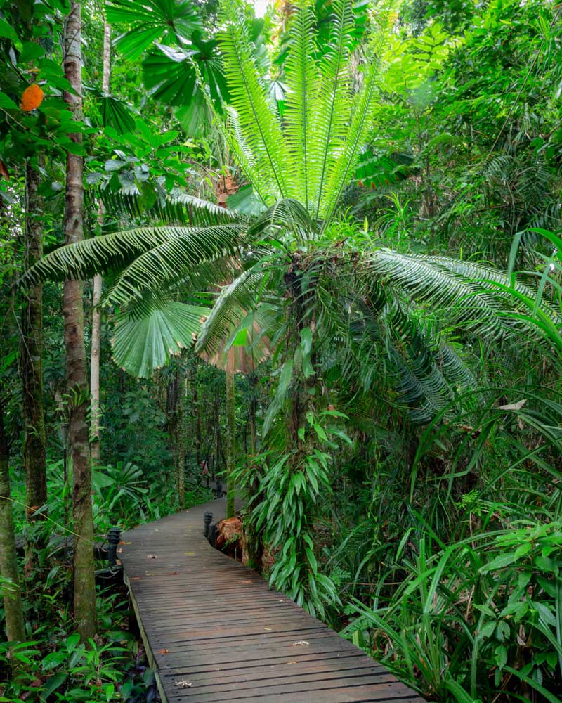 Esplanada de Cairns