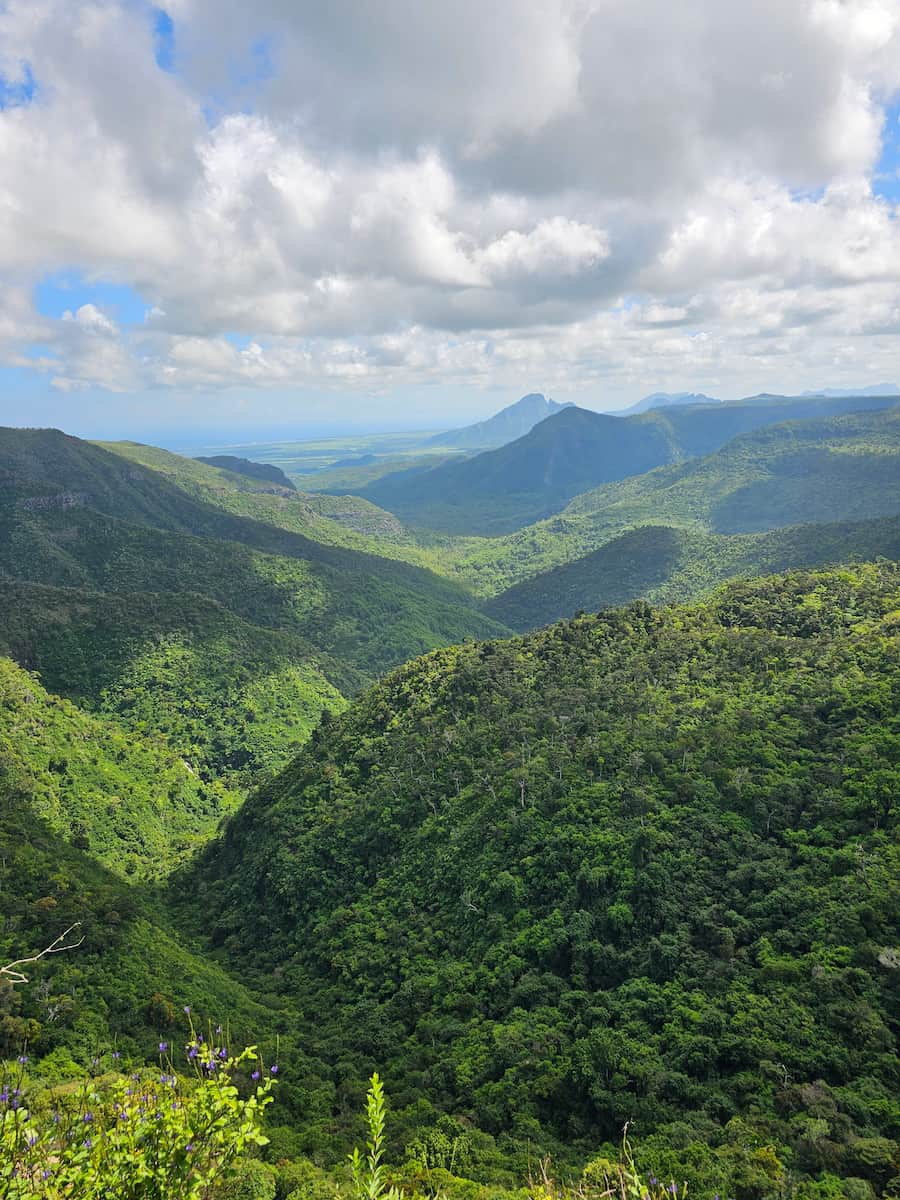 Parque Nacional Black River Gorges