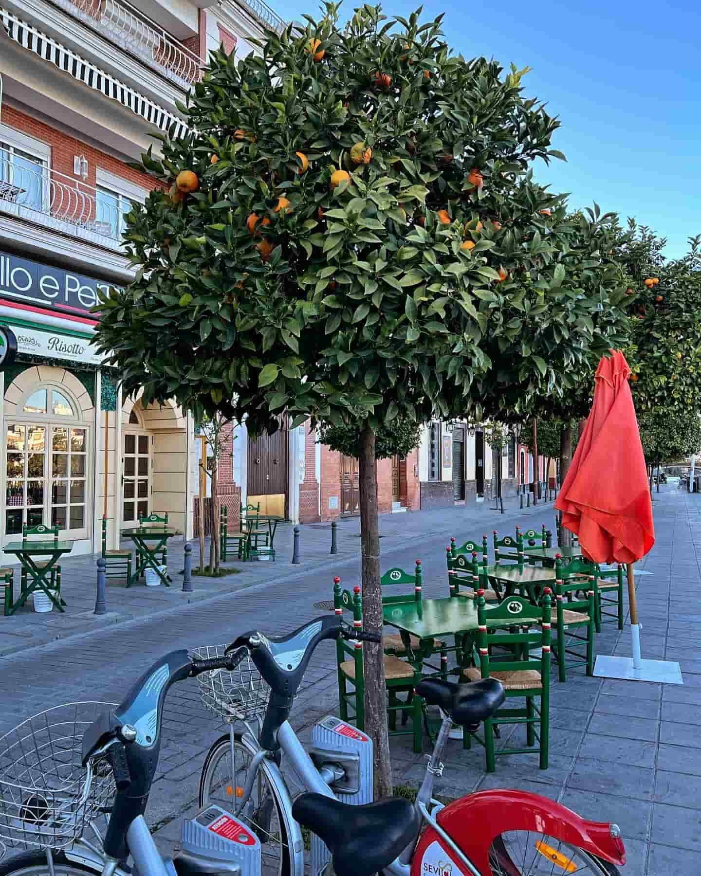 Calle Beti, Sevilha, Espanha