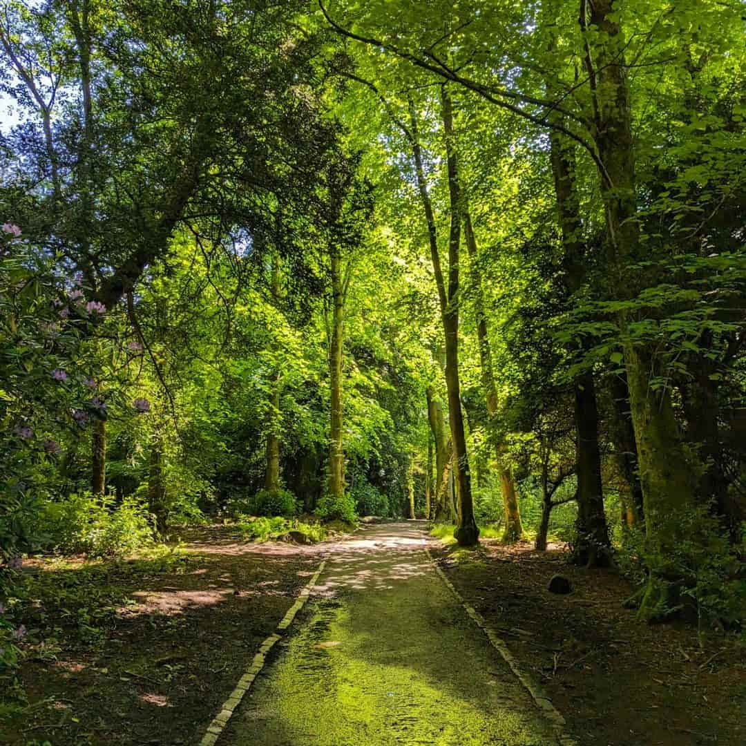 Pollok Country Park