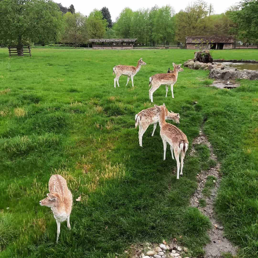 Parc de la Tête d'Or