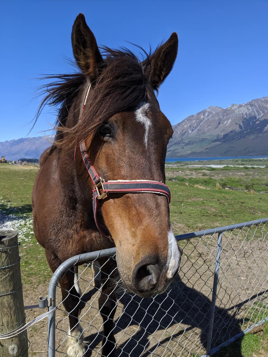 Glenorchy, Queenstown