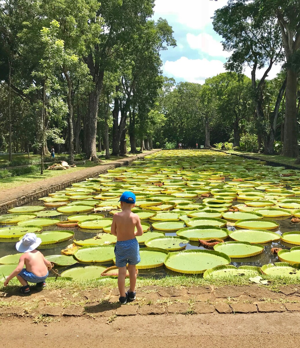 Jardim Botânico Pamplemousses