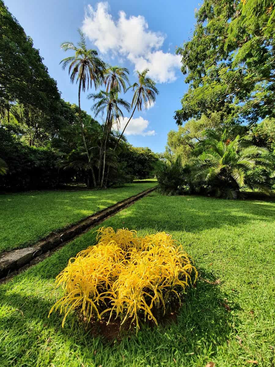 Jardim Botânico Pamplemousses