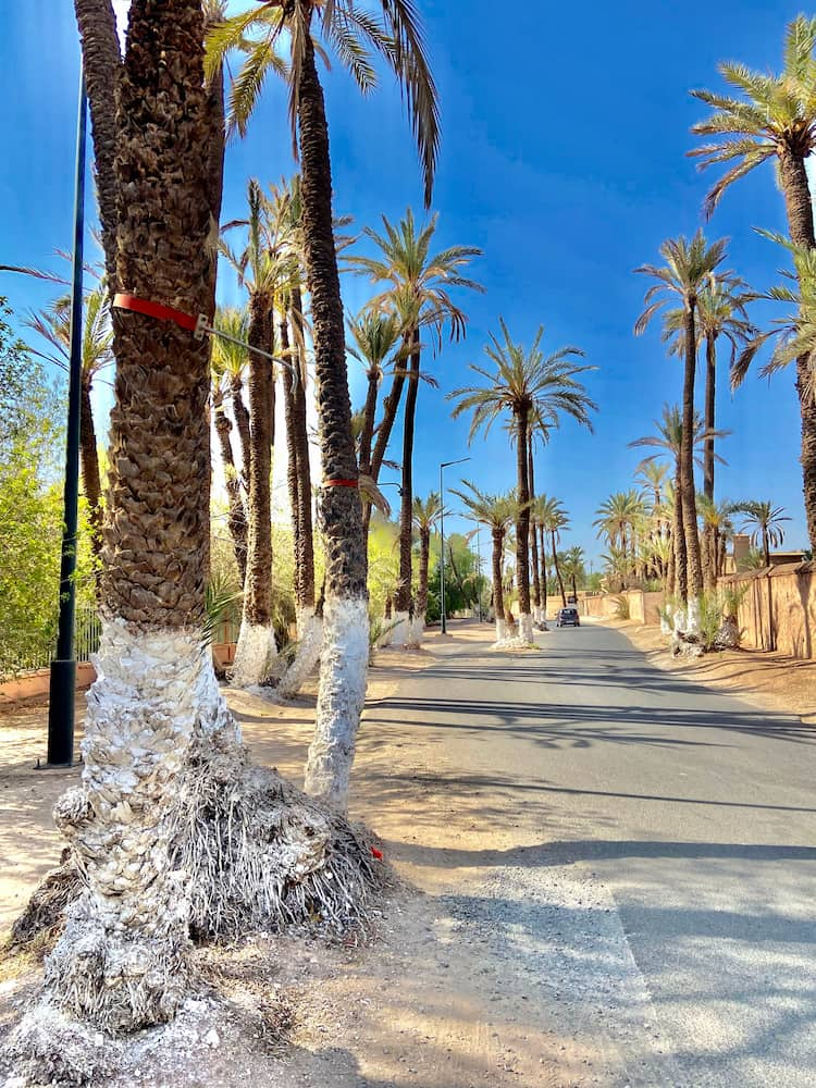 Palmeraie, Marrakech