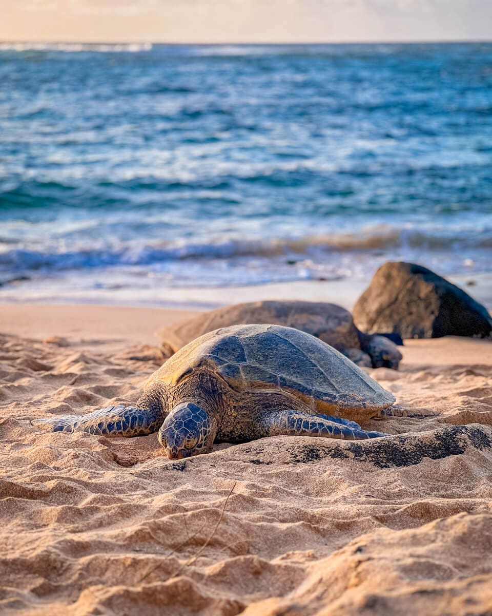 Maui, Hawaii