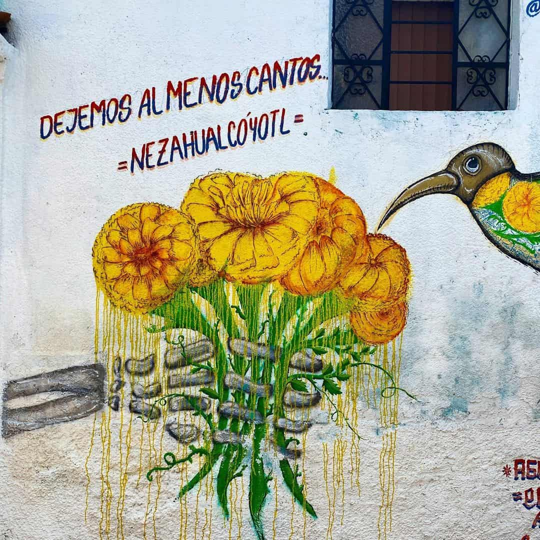 Street Art, Oaxaca