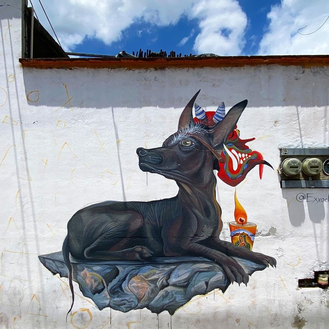 Street Art, Oaxaca